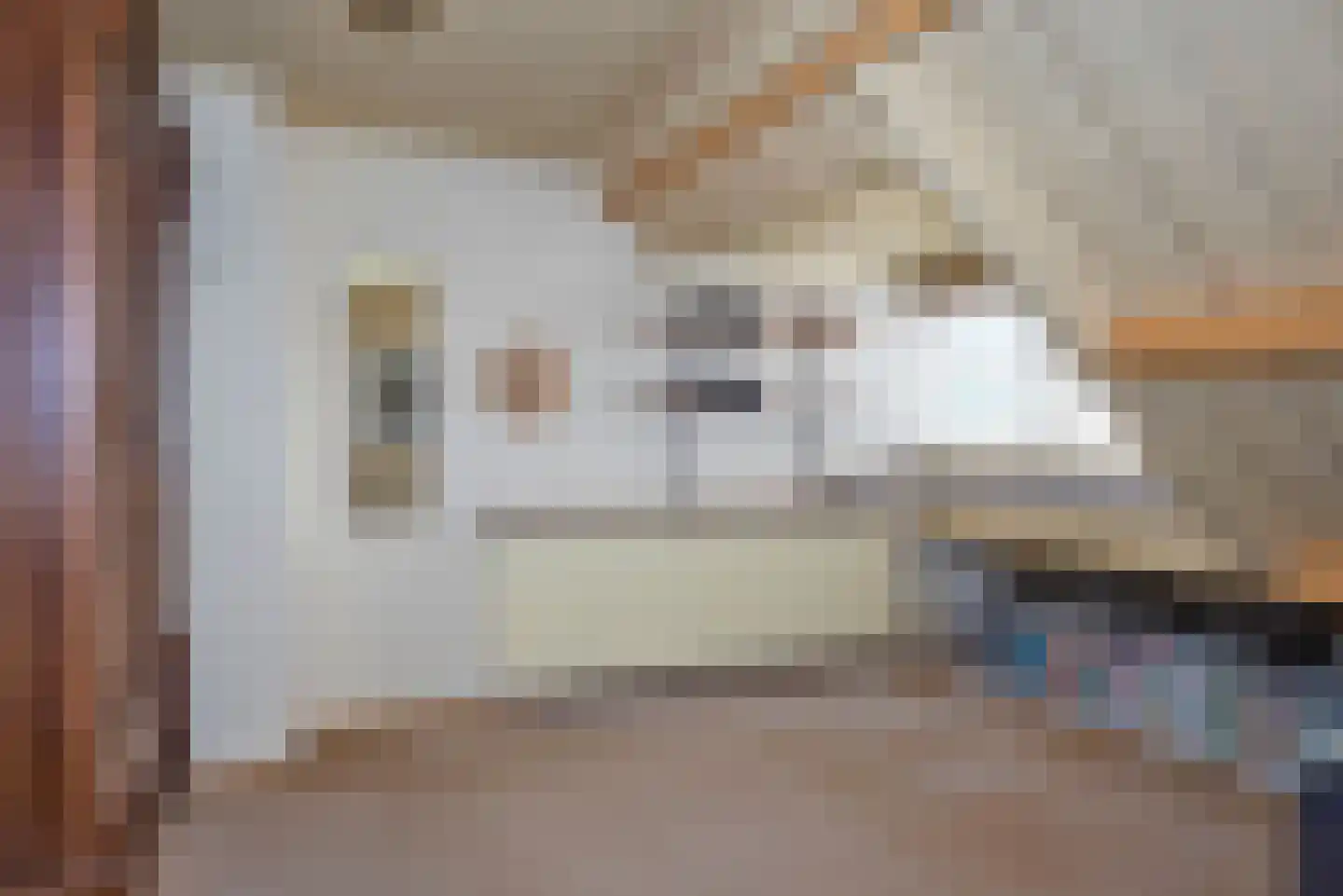 Enterstraat 61 Rijssen thumbnail 29
