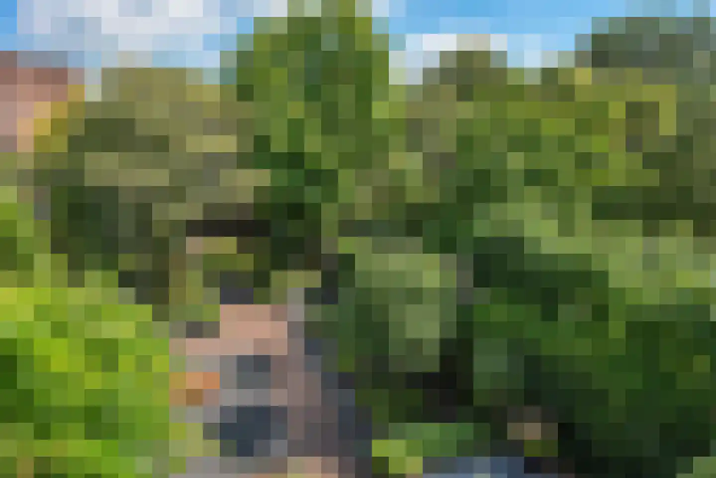 Enterstraat 61 Rijssen thumbnail 34