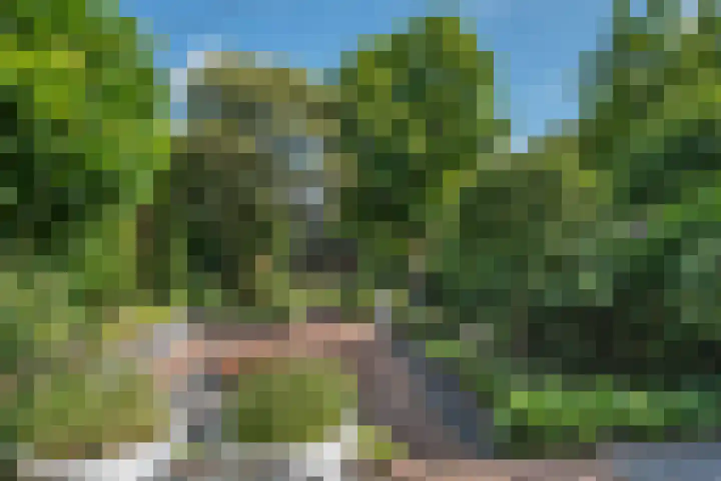 Enterstraat 61 Rijssen thumbnail 36