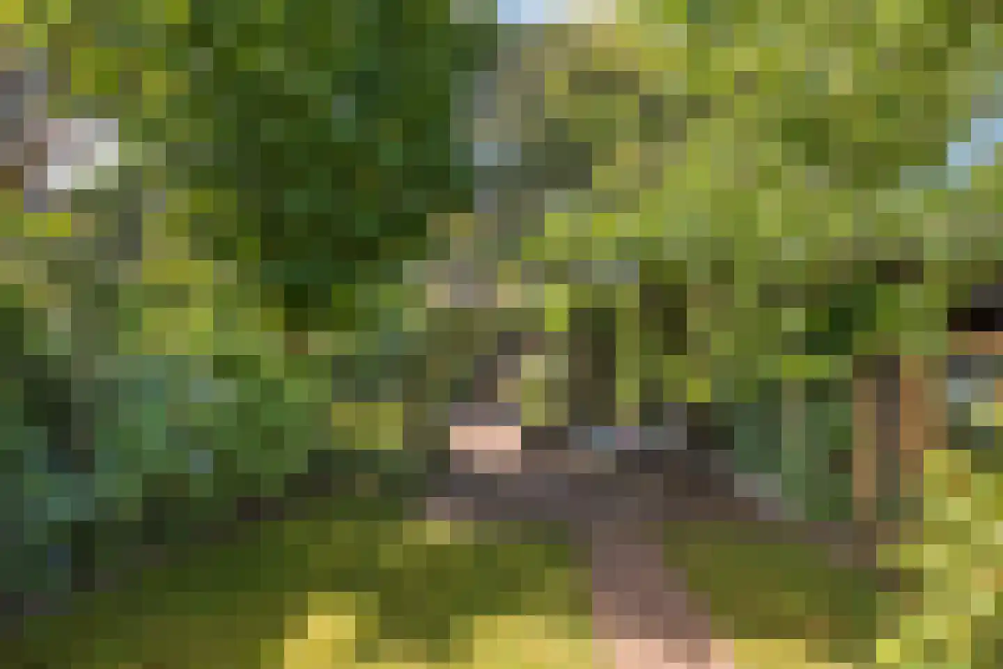 Enterstraat 61 Rijssen thumbnail 38