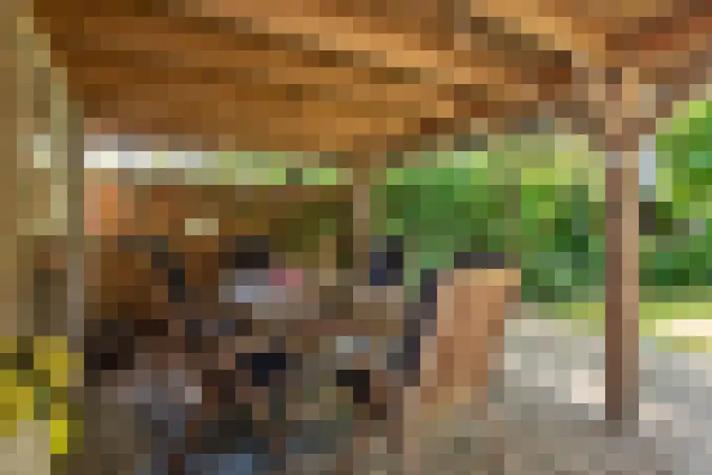 Enterstraat 61 Rijssen thumbnail 39