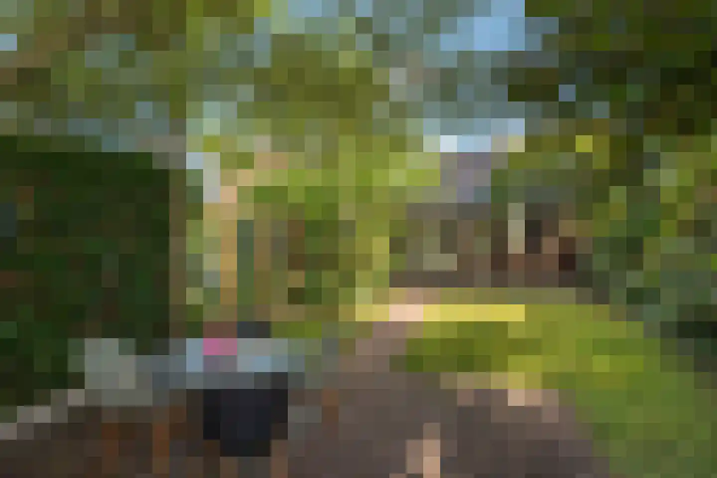 Enterstraat 61 Rijssen thumbnail 4