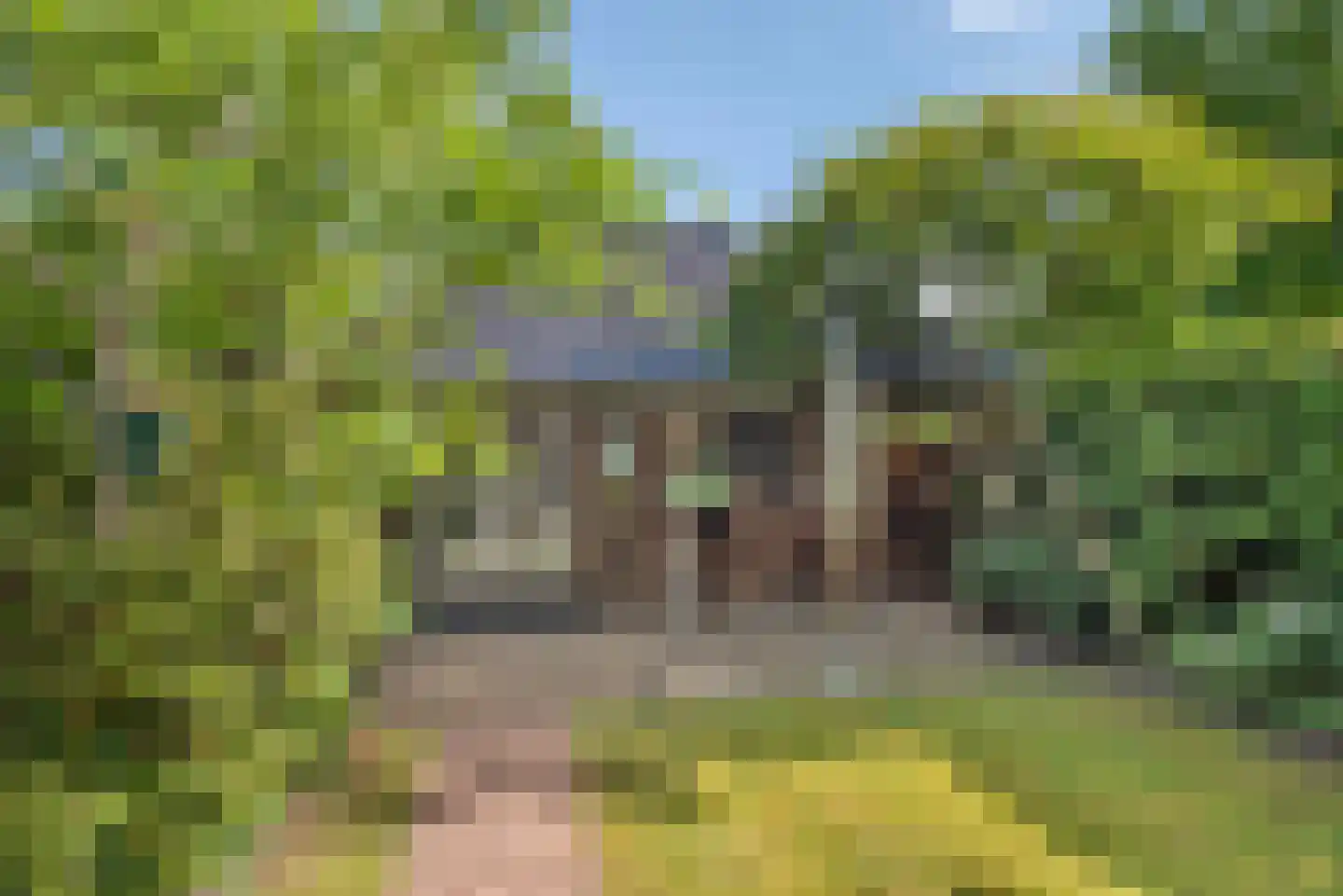Enterstraat 61 Rijssen thumbnail 40