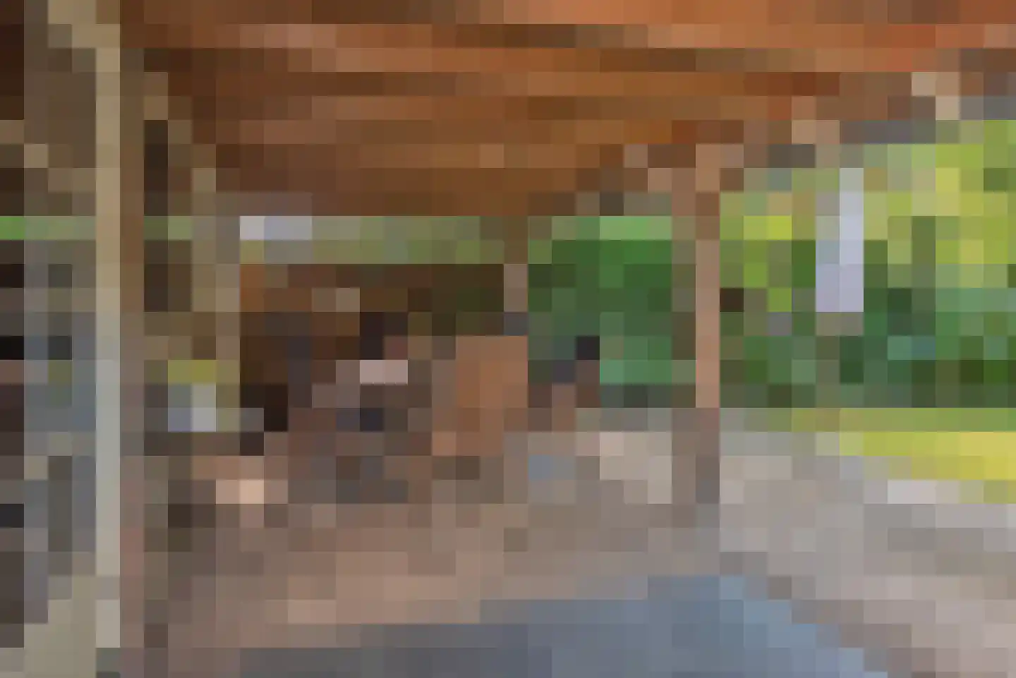 Enterstraat 61 Rijssen thumbnail 5