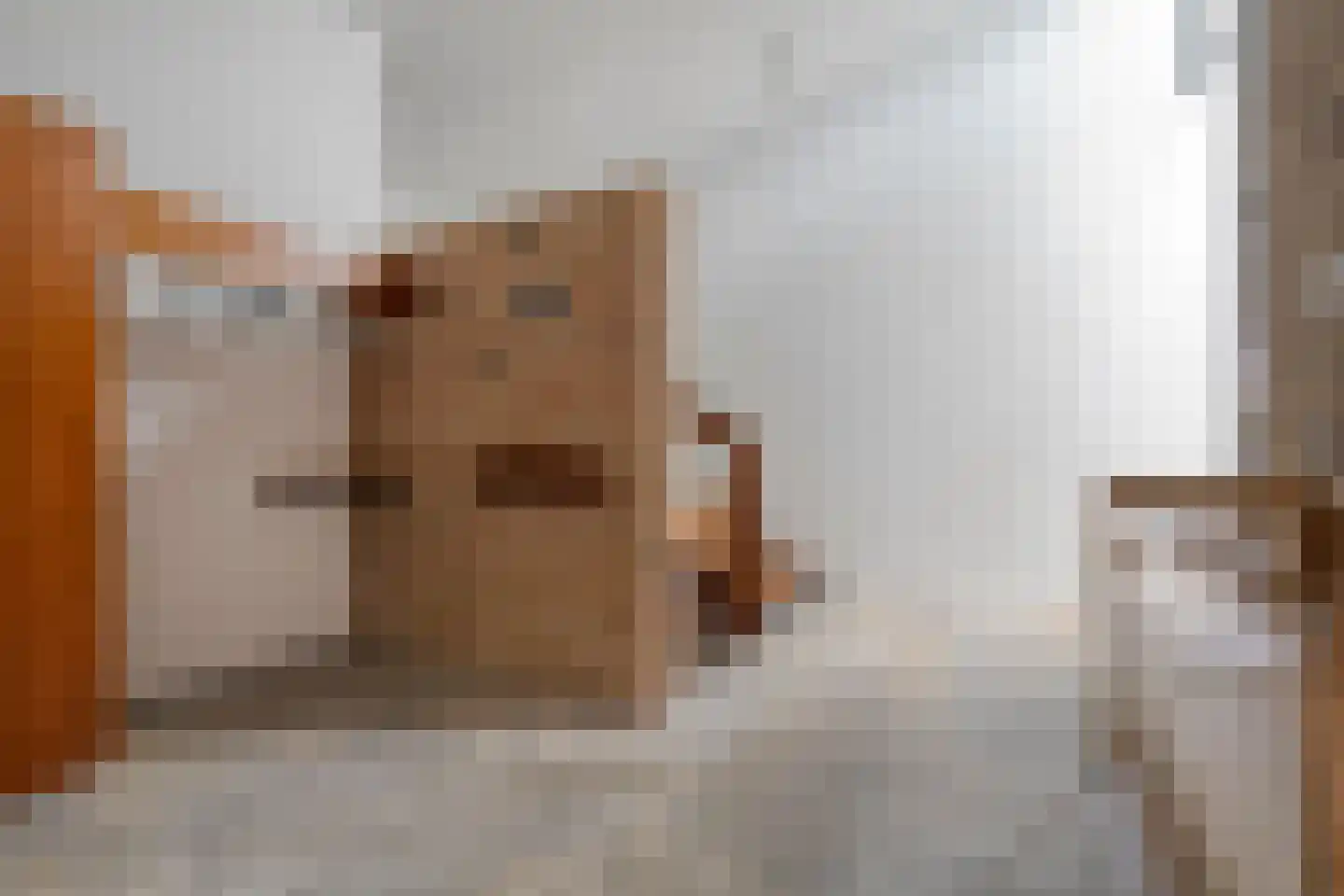 Enterstraat 97 Rijssen thumbnail 10