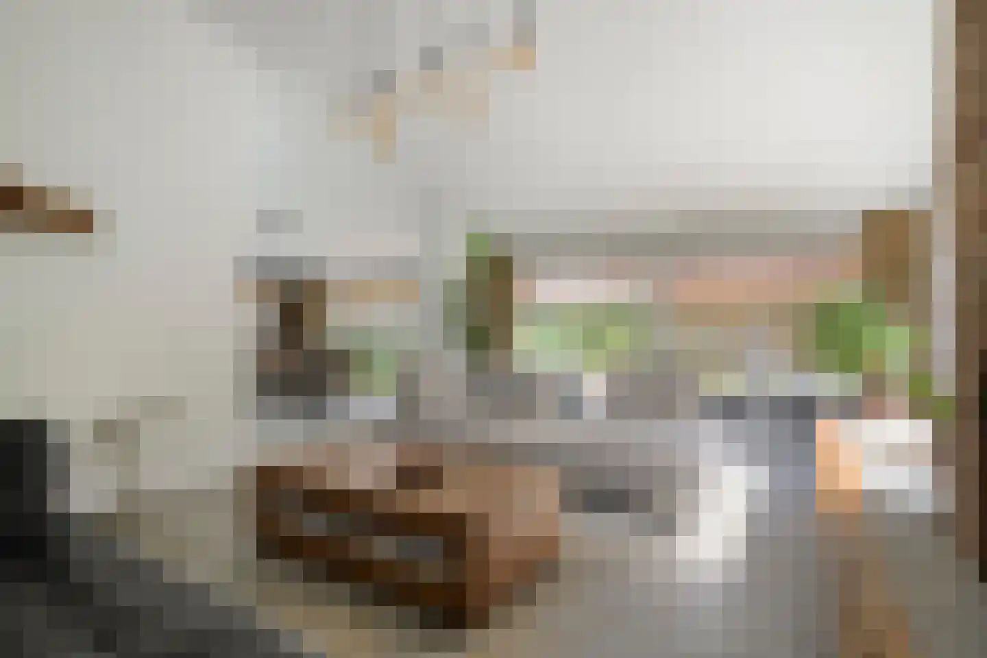Enterstraat 97 Rijssen thumbnail 15