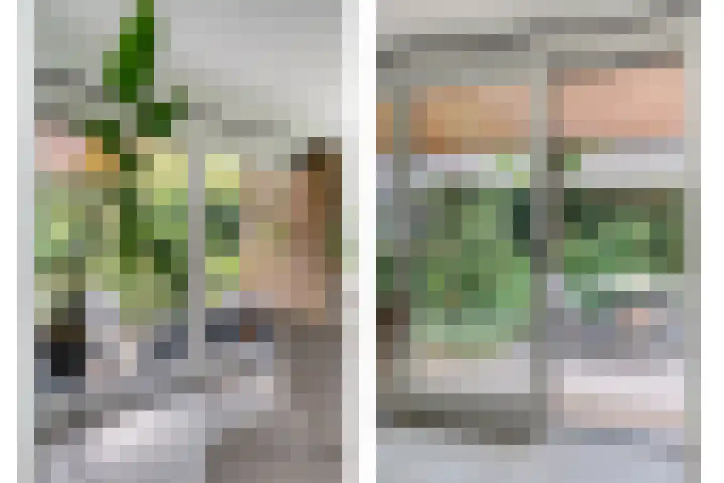 Enterstraat 97 Rijssen thumbnail 16