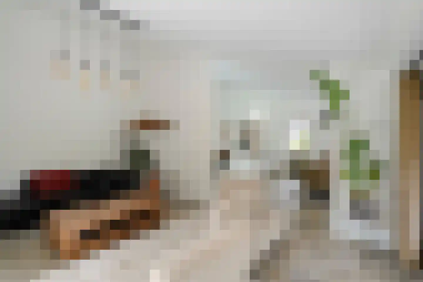 Enterstraat 97 Rijssen thumbnail 17