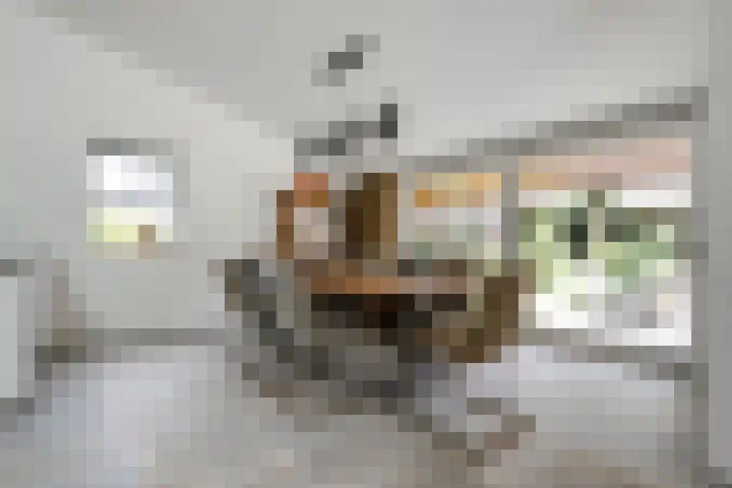 Enterstraat 97 Rijssen thumbnail 18