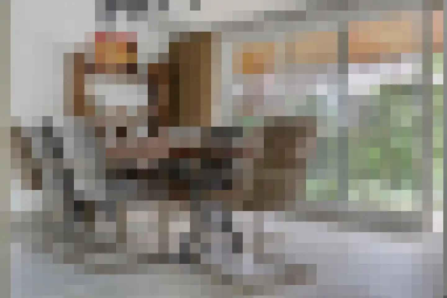 Enterstraat 97 Rijssen thumbnail 20