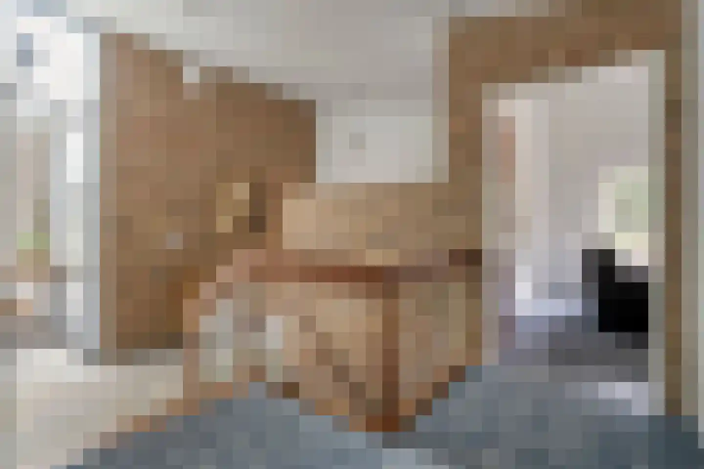 Enterstraat 97 Rijssen thumbnail 33