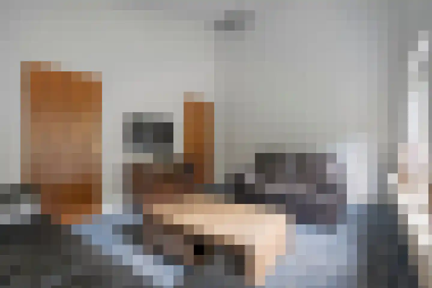 Enterstraat 97 Rijssen thumbnail 36