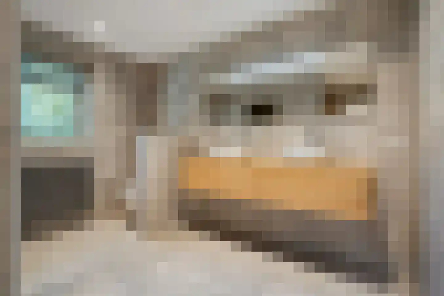 Enterstraat 97 Rijssen thumbnail 43