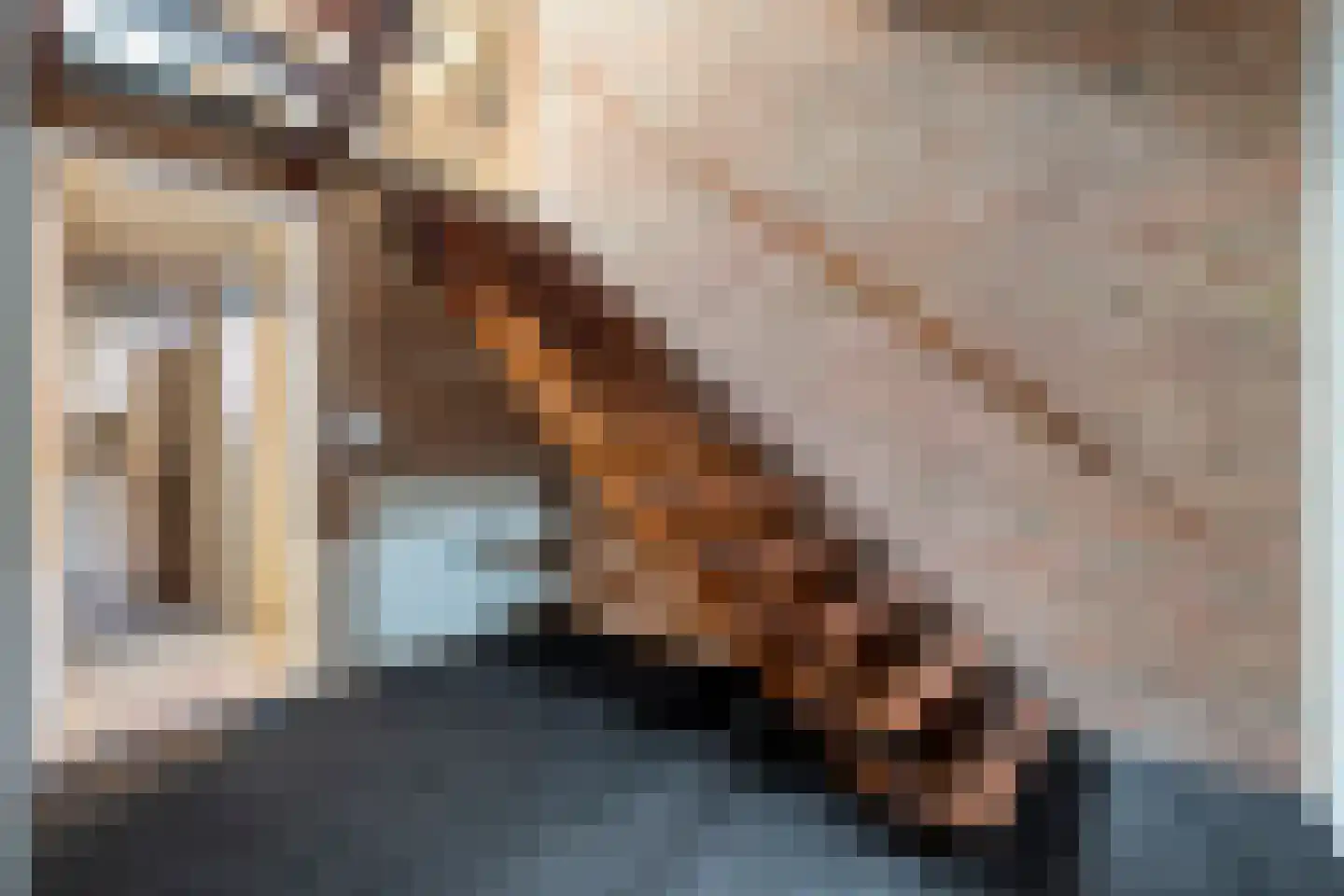 Enterstraat 97 Rijssen thumbnail 48