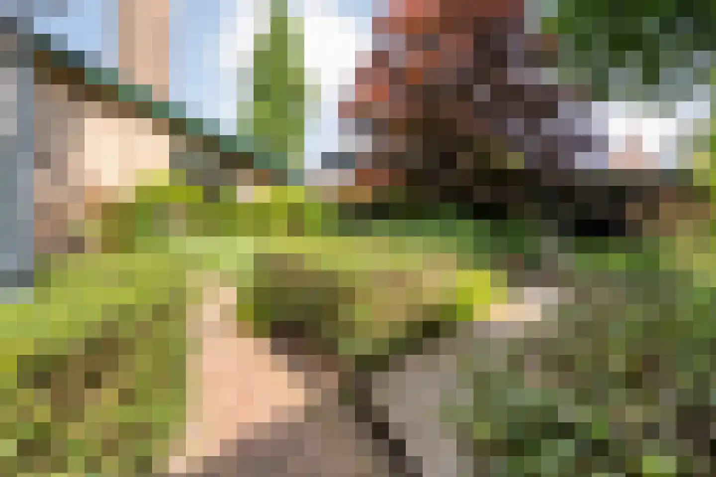 Enterstraat 97 Rijssen thumbnail 5