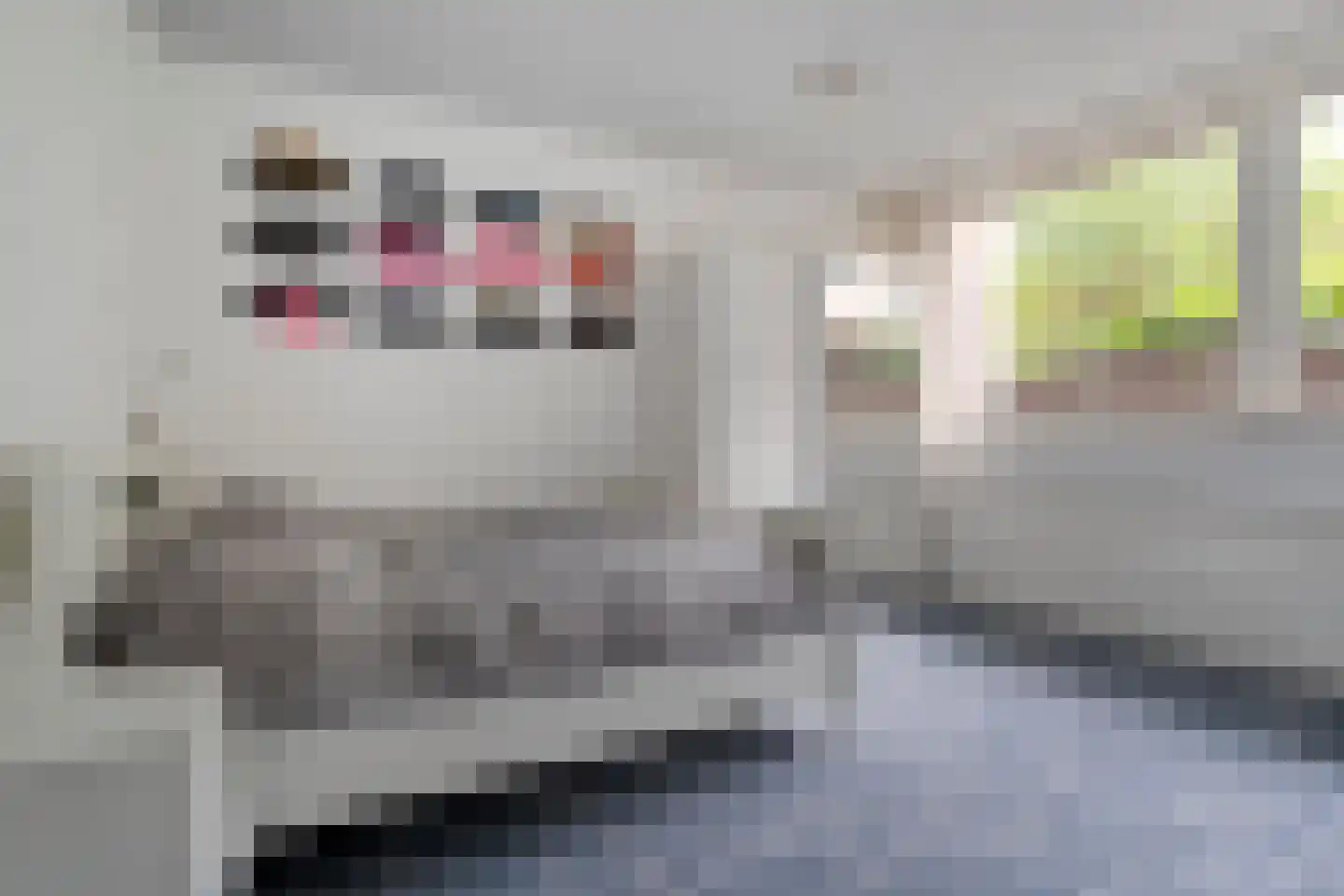 Enterstraat 97 Rijssen thumbnail 50