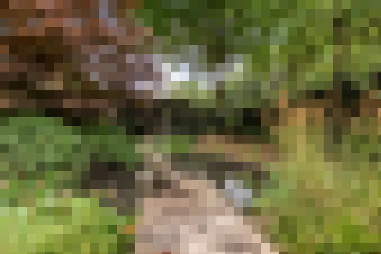 Enterstraat 97 Rijssen thumbnail 6