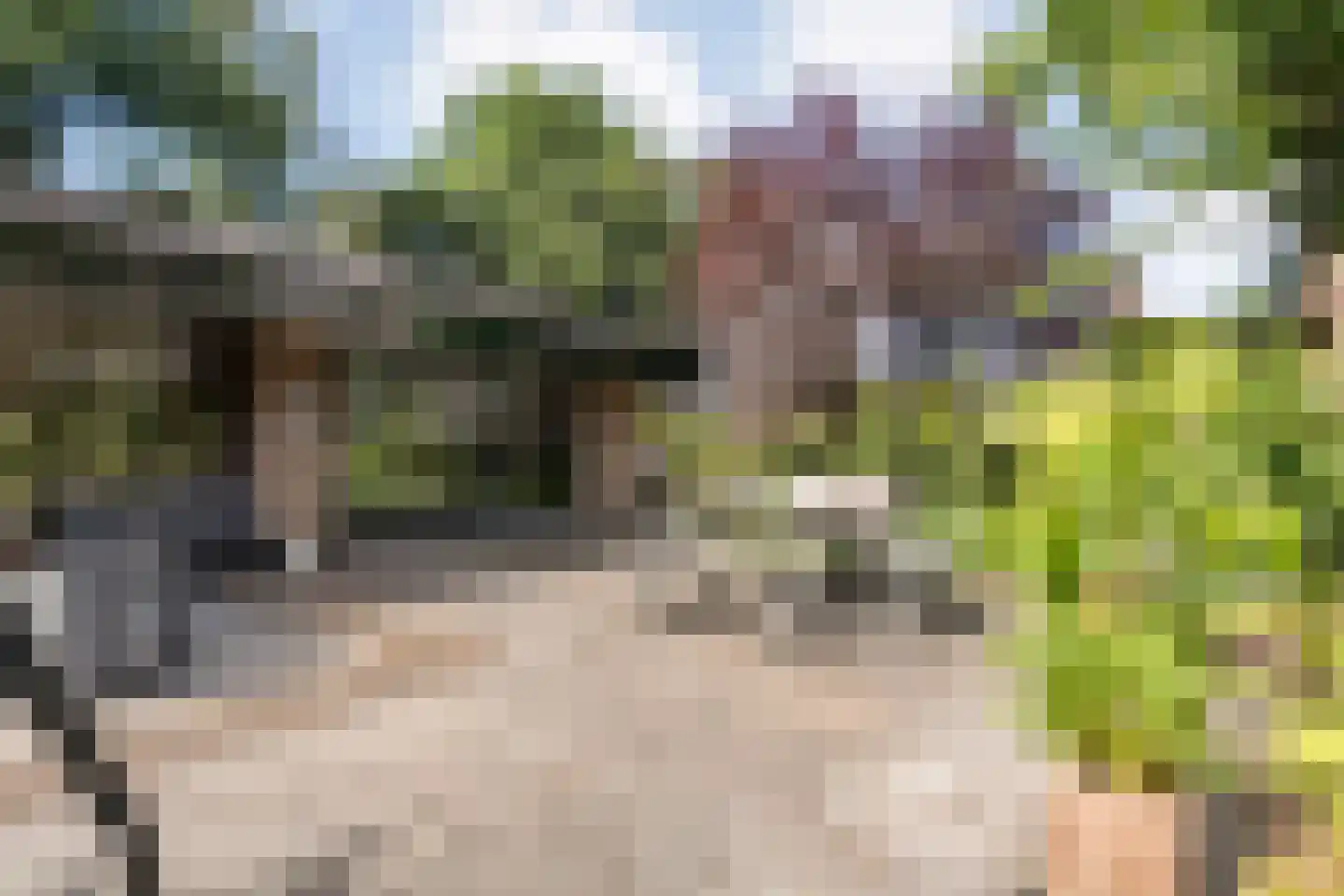 Enterstraat 97 Rijssen thumbnail 60