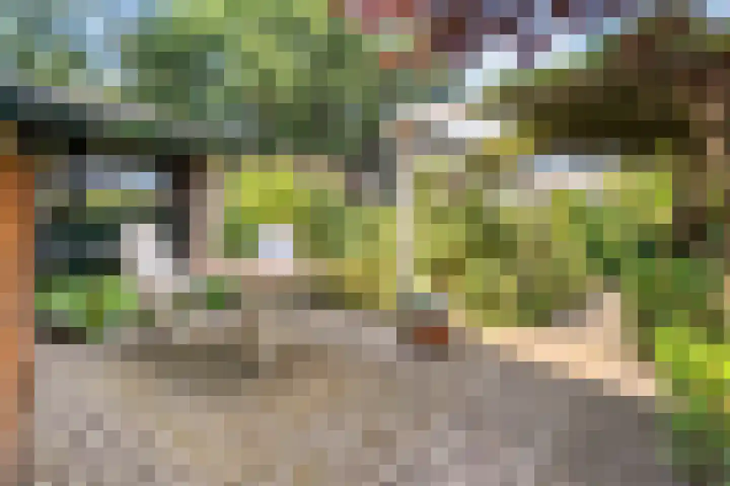 Enterstraat 97 Rijssen thumbnail 62