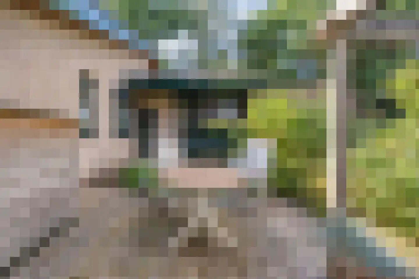 Enterstraat 97 Rijssen thumbnail 63