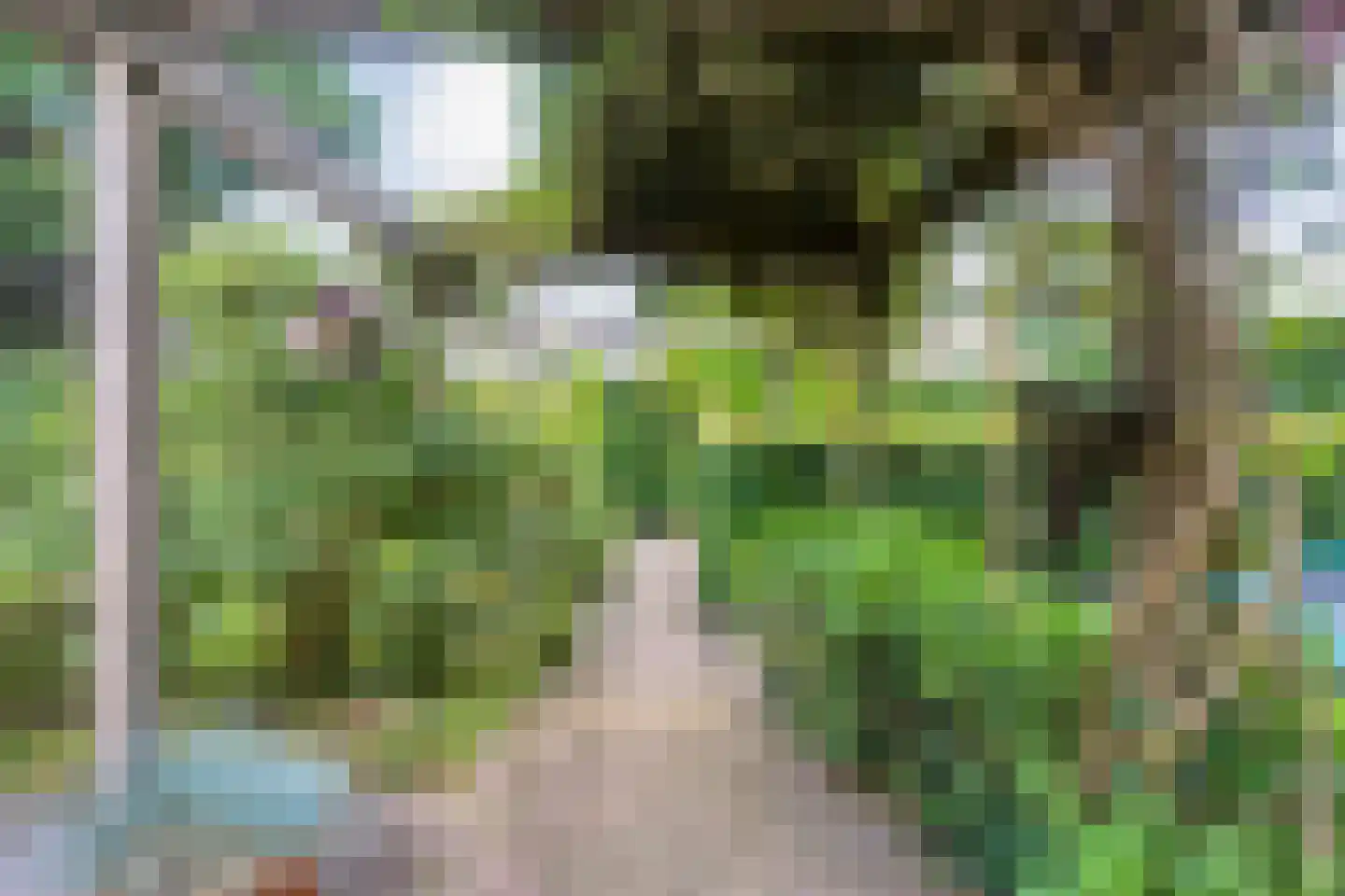Enterstraat 97 Rijssen thumbnail 65
