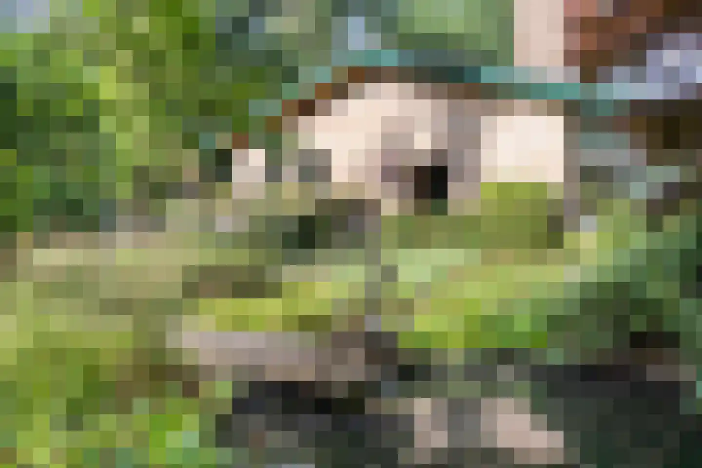 Enterstraat 97 Rijssen thumbnail 7