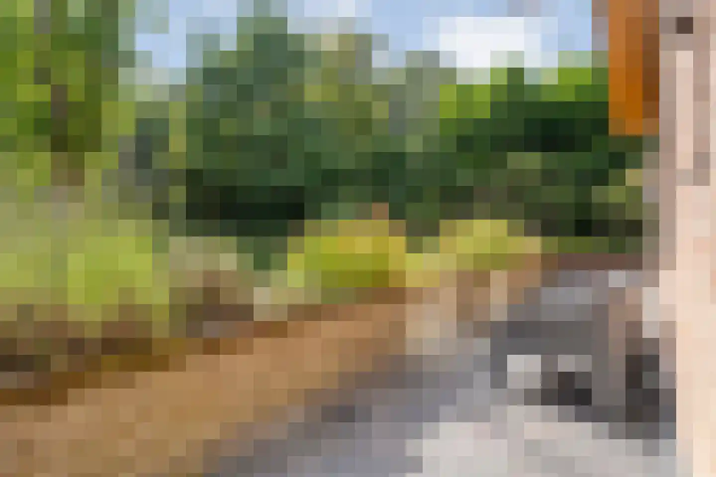 Enterstraat 97 Rijssen thumbnail 8