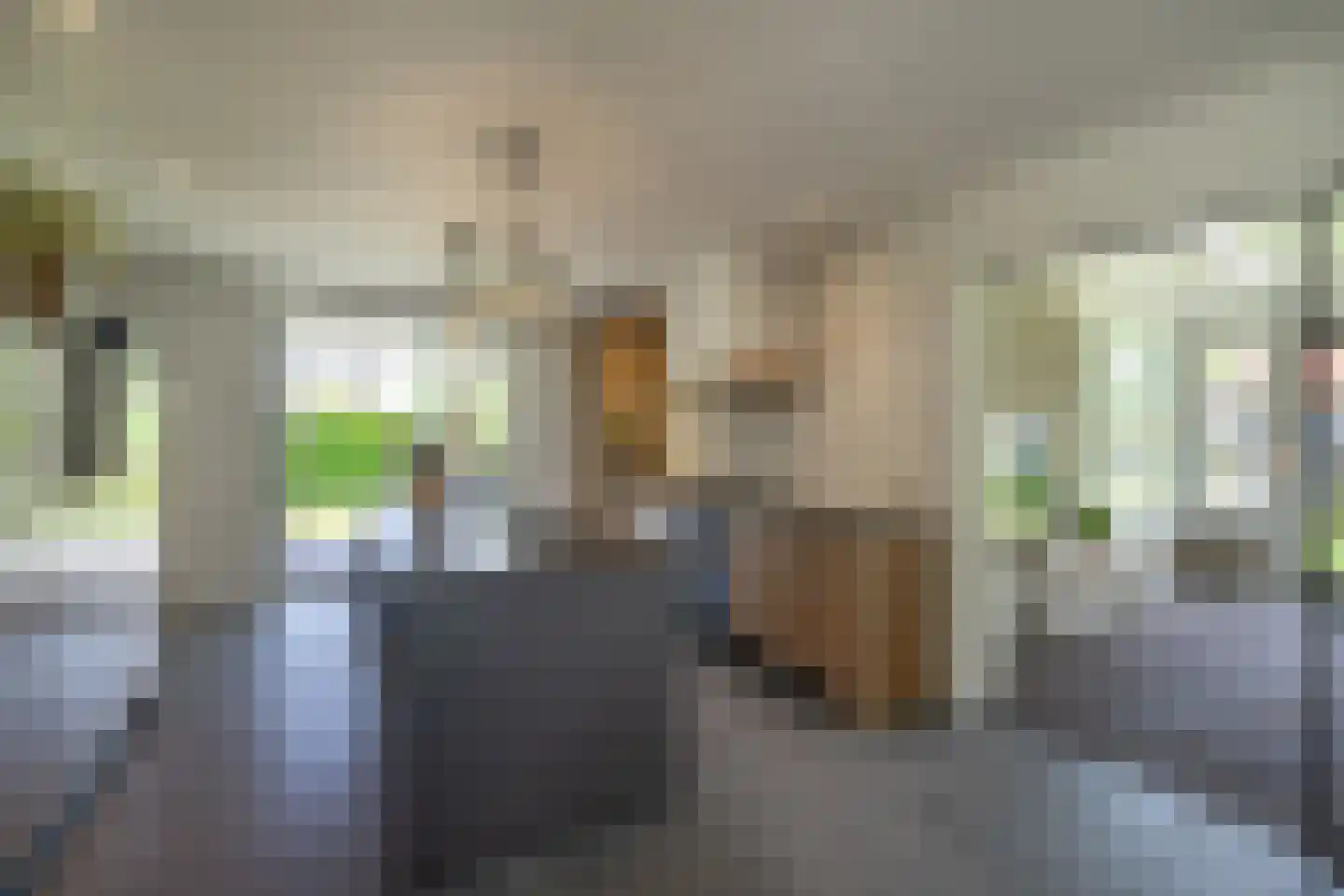 Enterveenweg 3 Enter thumbnail 16
