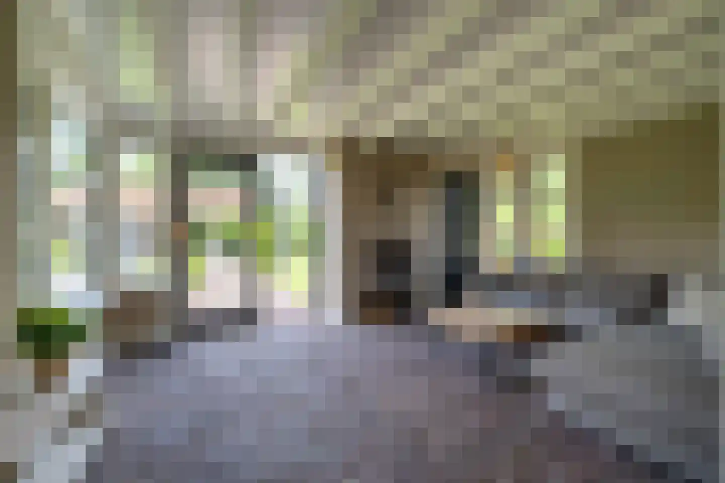 Enterveenweg 3 Enter thumbnail 18