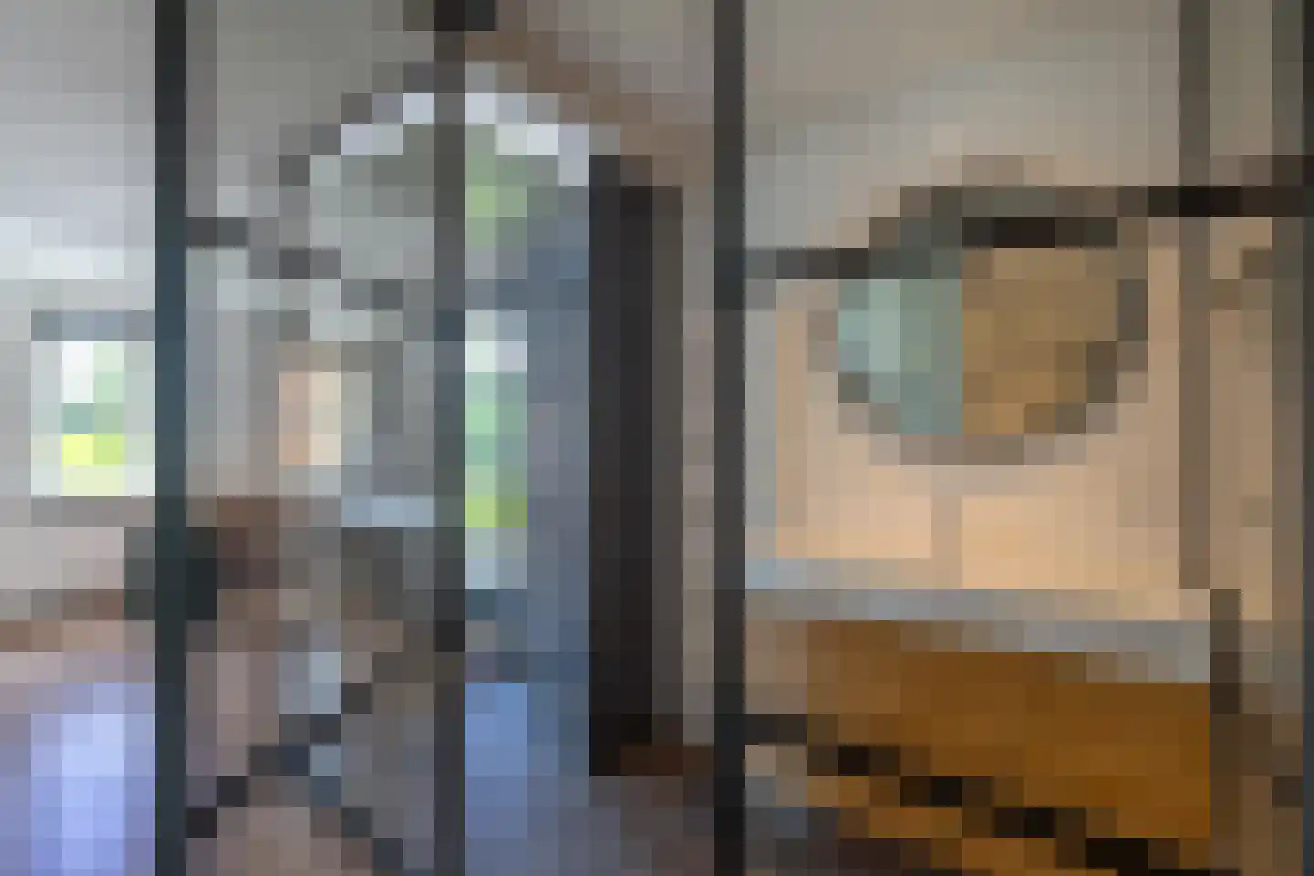 Enterveenweg 3 Enter thumbnail 26