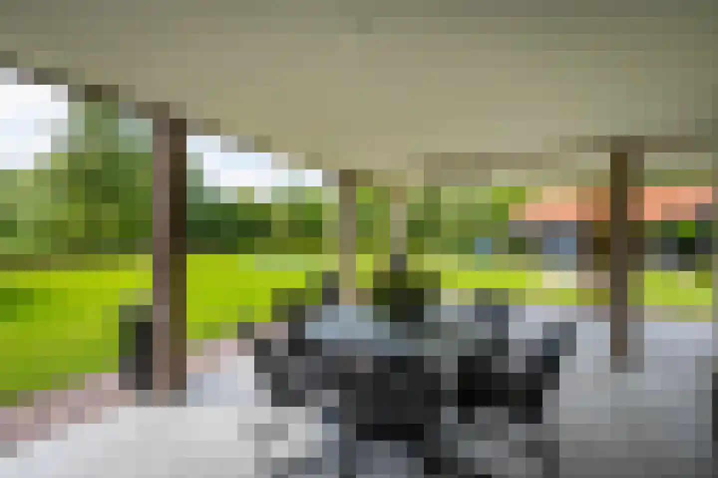 Enterveenweg 3 Enter thumbnail 45