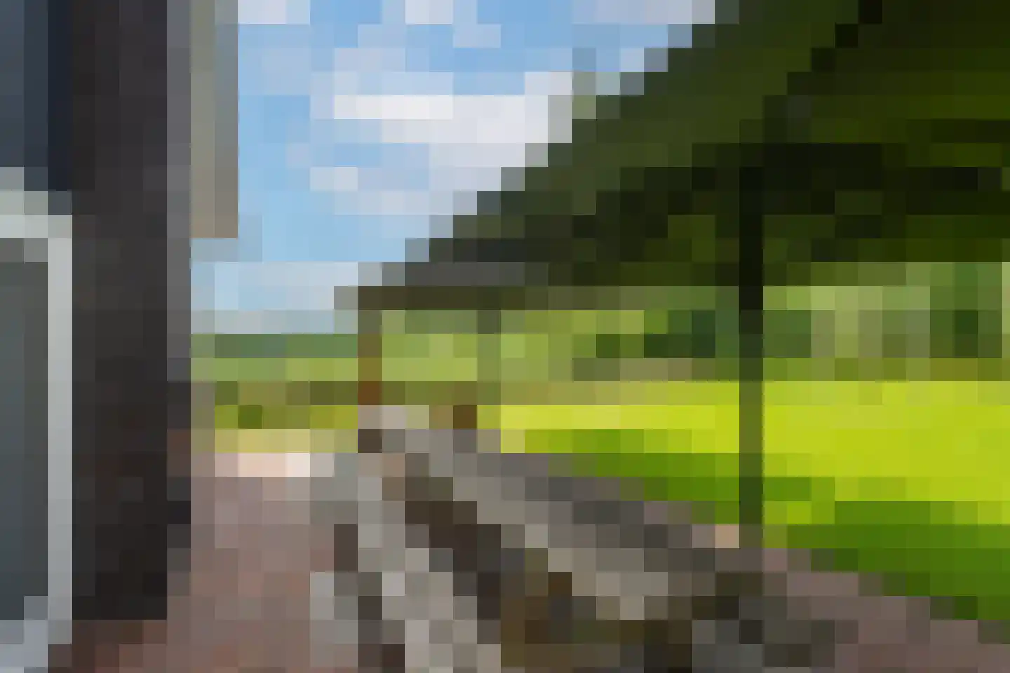 Enterveenweg 3 Enter thumbnail 46