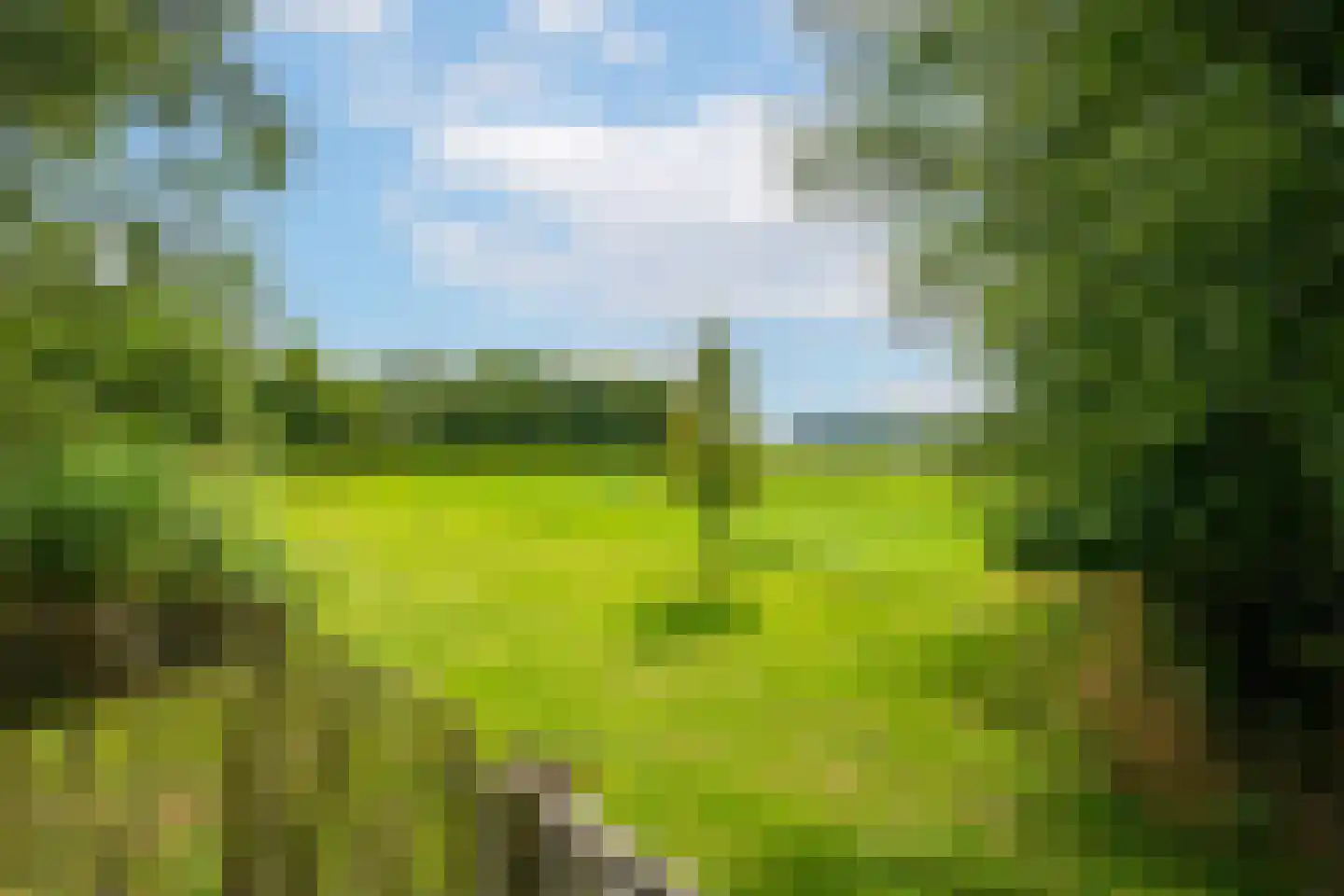 Enterveenweg 3 Enter thumbnail 47