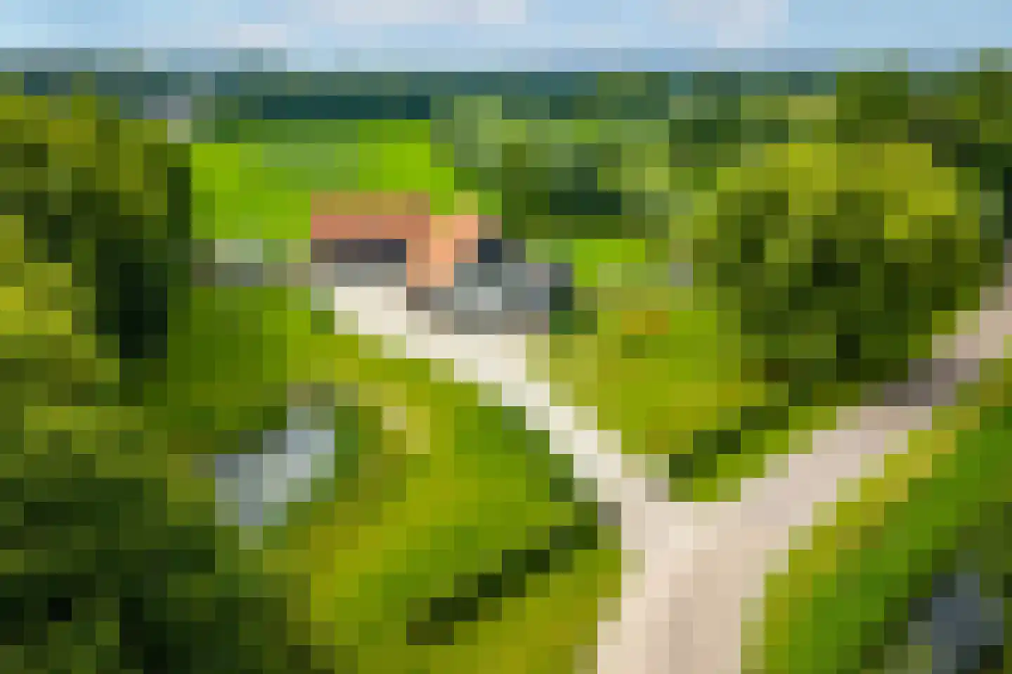 Enterveenweg 3 Enter thumbnail 5