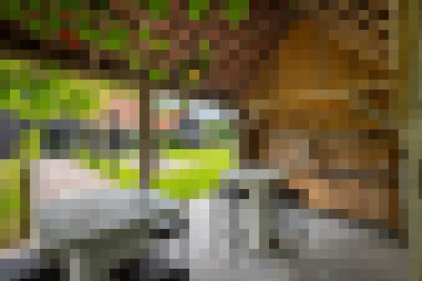 Enterveenweg 3 Enter thumbnail 50