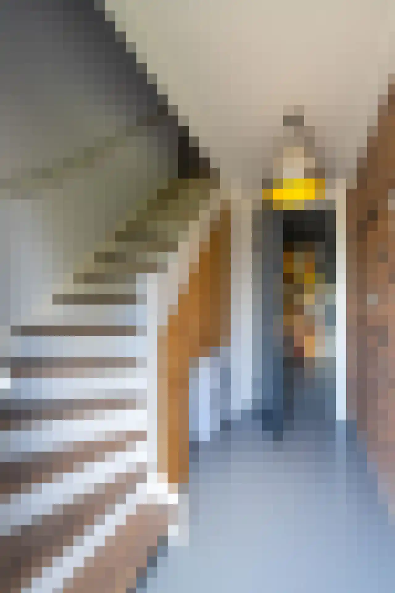 Enterveenweg 3 Enter thumbnail 52