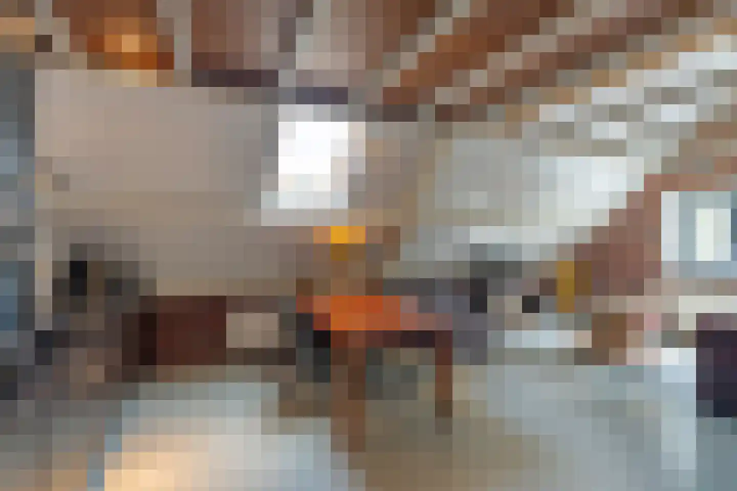 Enterveenweg 3 Enter thumbnail 55