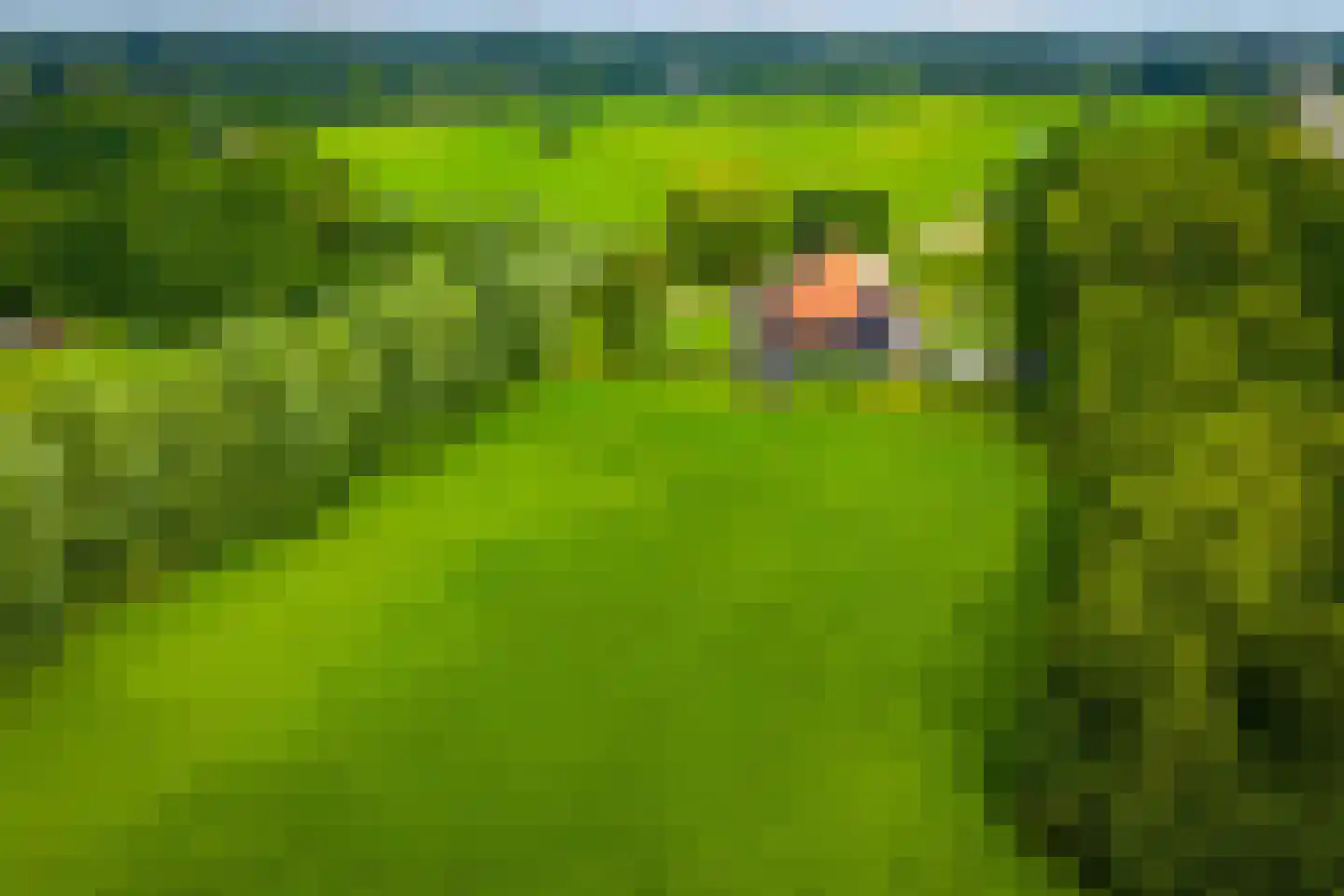 Enterveenweg 3 Enter thumbnail 6