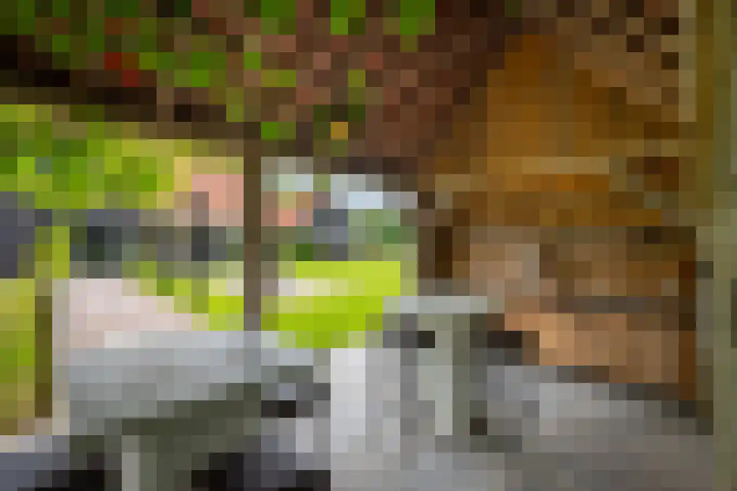 Enterveenweg 3 Enter thumbnail 62