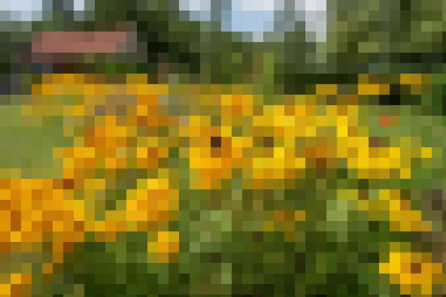Enterveenweg 3 Enter thumbnail 64