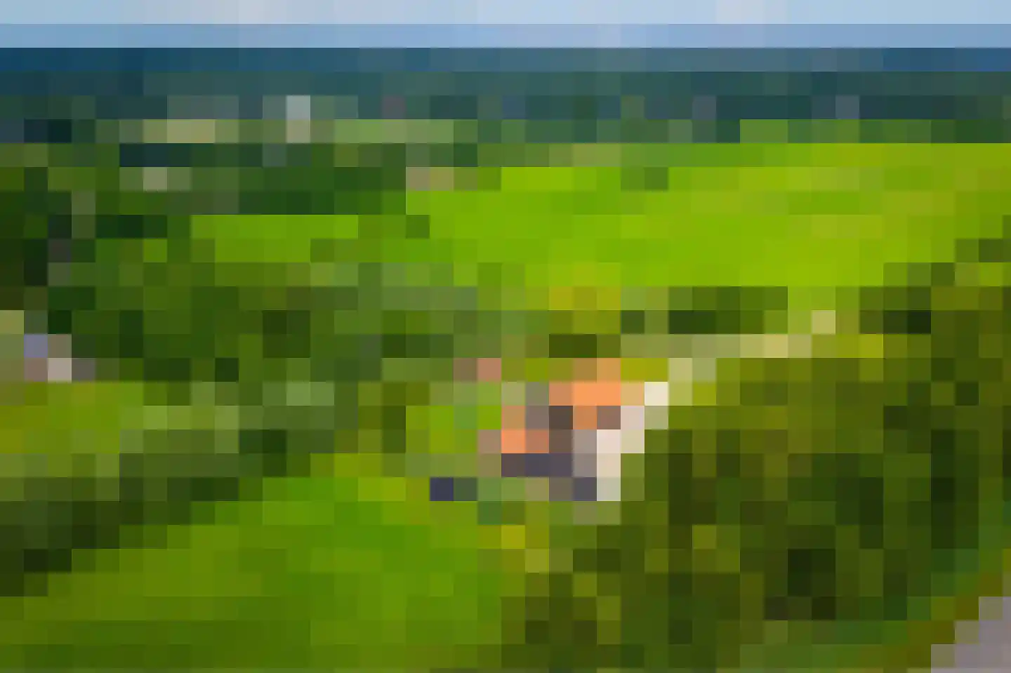 Enterveenweg 3 Enter thumbnail 7