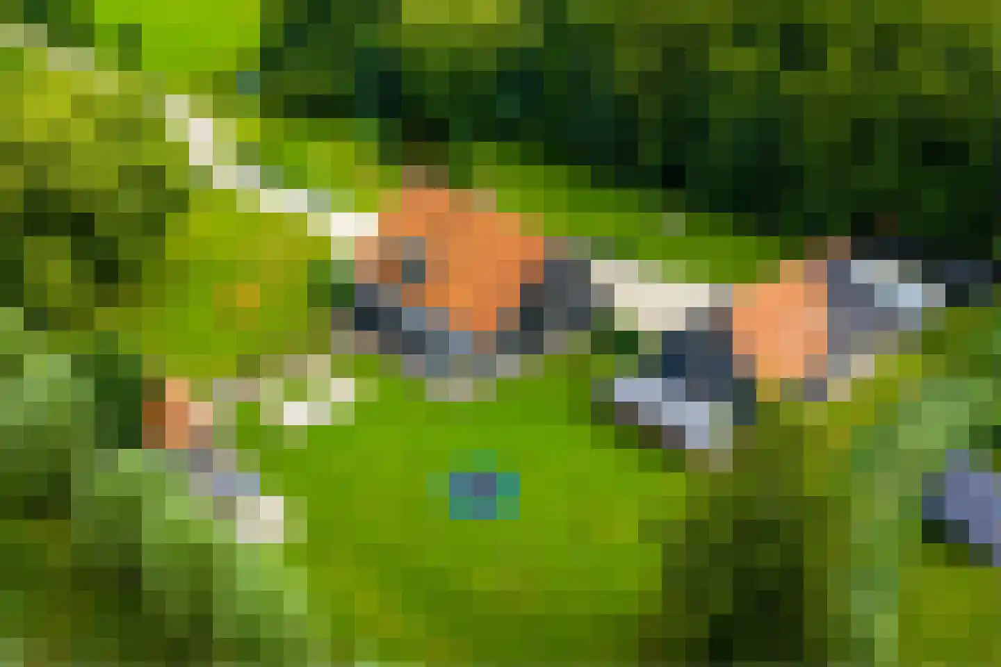 Enterveenweg 3 Enter thumbnail 8