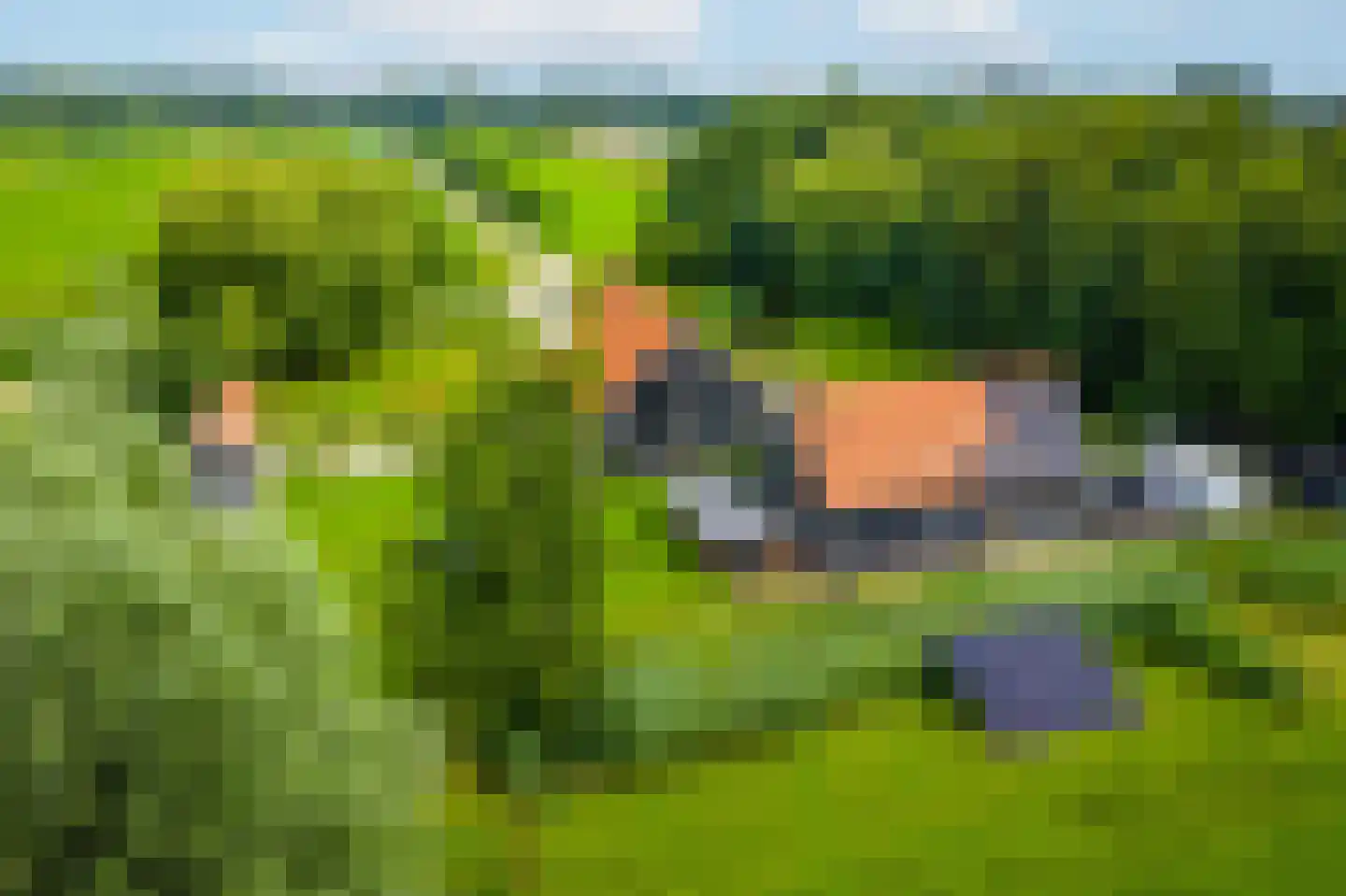 Enterveenweg 3 Enter thumbnail 9
