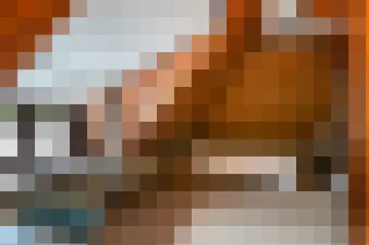 Enterveenweg 4 Enter thumbnail 17