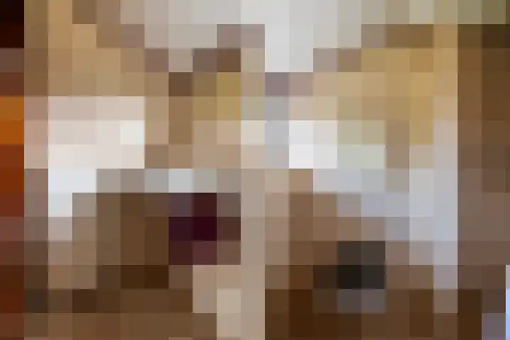 Enterveenweg 4 Enter thumbnail 22