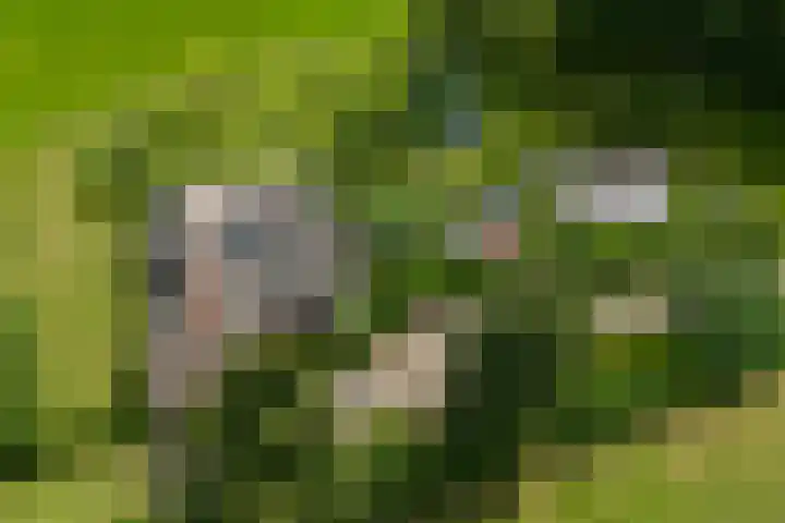 Enterveenweg 4 Enter thumbnail 26