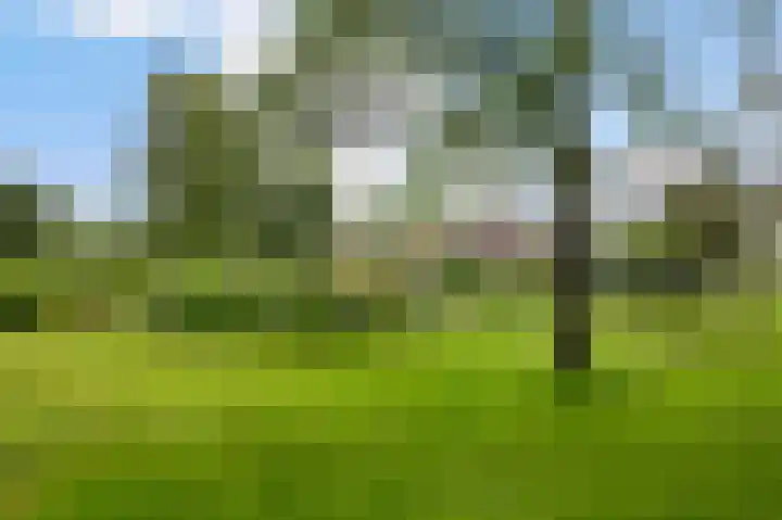 Enterveenweg 4 Enter thumbnail 31