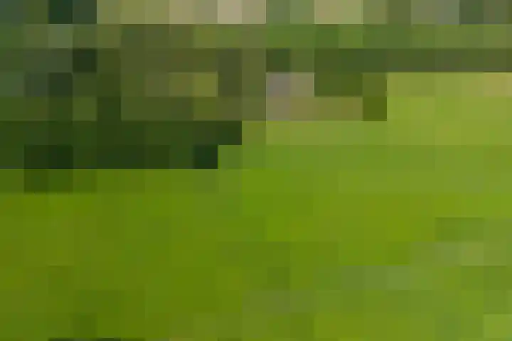 Enterveenweg 4 Enter thumbnail 34