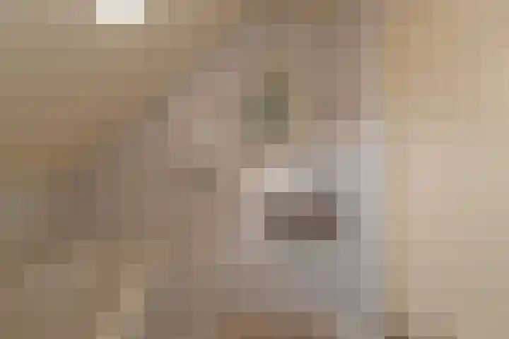 Enterveenweg 6 Rijssen thumbnail 22