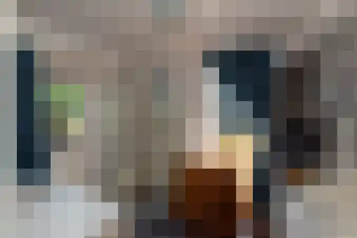 Enterveenweg 6 Rijssen thumbnail 27